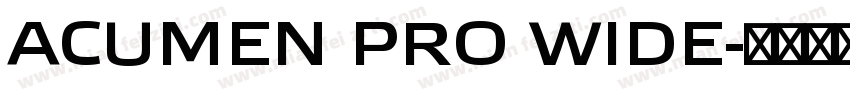 ACUMEN PRO WIDE字体转换